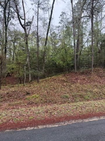 Lot 39, 40 & 41 S Lakeview Drive, Point Blank, TX 77364