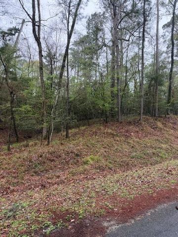 Lot 39, 40 & 41 S Lakeview Drive, Point Blank, TX 77364