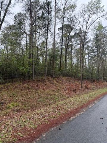 Lot 39, 40 & 41 S Lakeview Drive, Point Blank, TX 77364