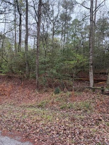 Lot 39, 40 & 41 S Lakeview Drive, Point Blank, TX 77364