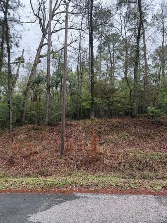 Lot 39, 40 & 41 S Lakeview Drive, Point Blank, TX 77364