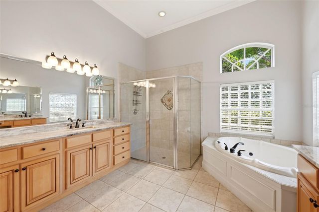 9119 BALMORAL MEWS SQ, Windermere, FL 34786
