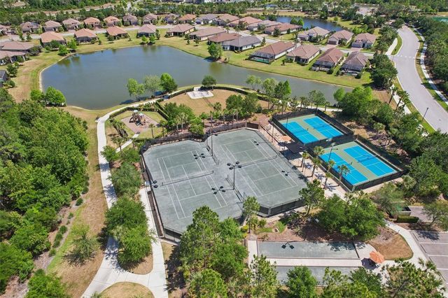 10834 CALLUNA DRIVE, Odessa, FL 33556