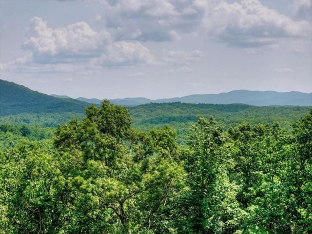 100 Boundless Trail, Morganton, GA 30560