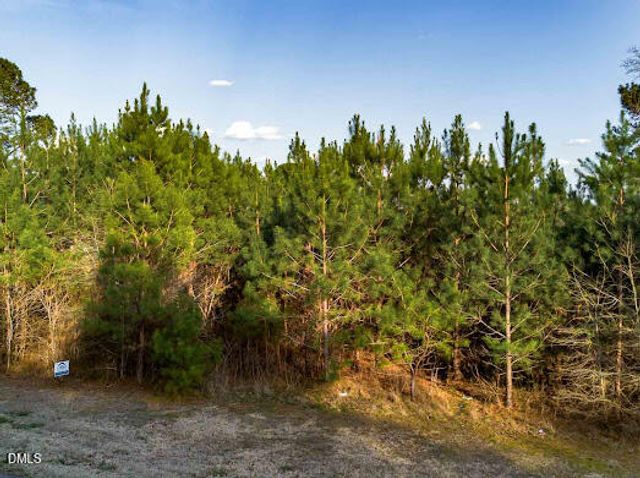 0 Laurel Mill Road, Louisburg, NC 27549