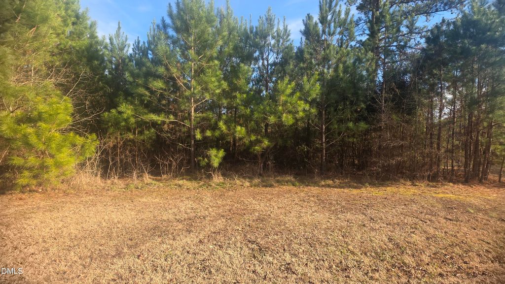 0 Laurel Mill Road, Louisburg, NC 27549