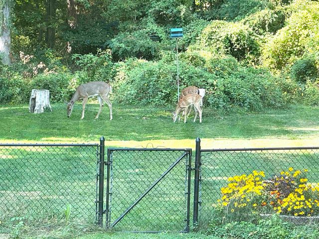 43243 RIVERWAY Drive, Clinton Twp, MI 48038