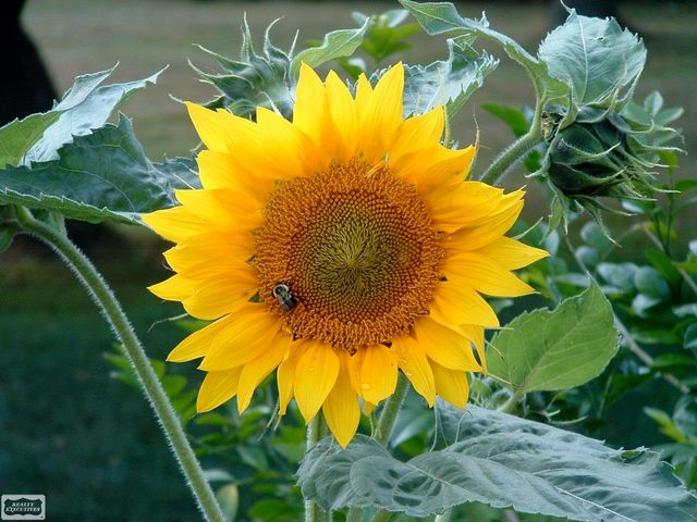 43243 RIVERWAY Drive, Clinton Twp, MI 48038