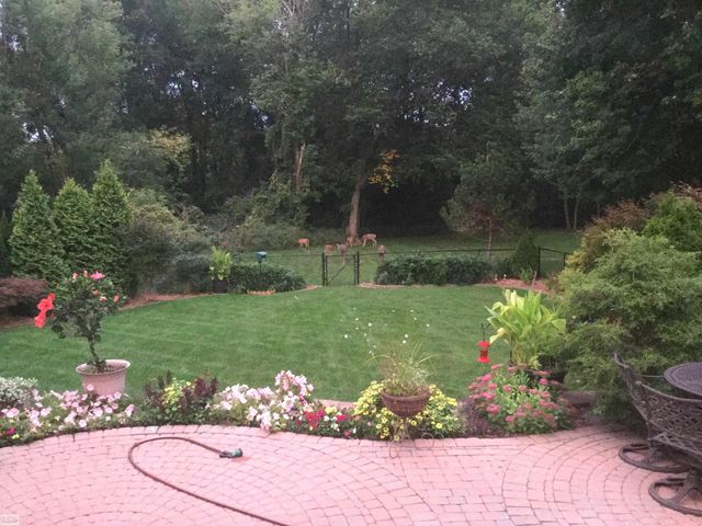 43243 RIVERWAY Drive, Clinton Twp, MI 48038