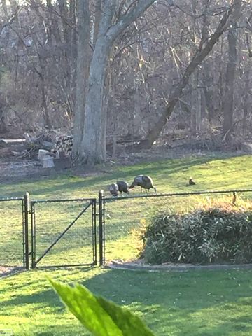 43243 RIVERWAY Drive, Clinton Twp, MI 48038