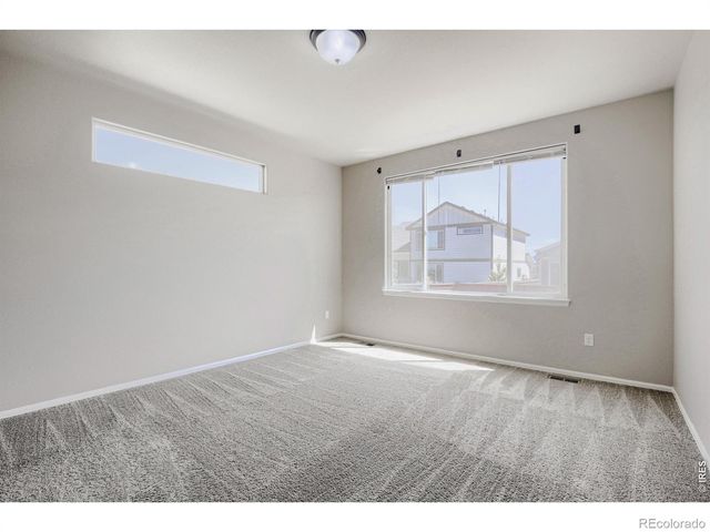 1577 First Light Drive, Windsor, CO 80550