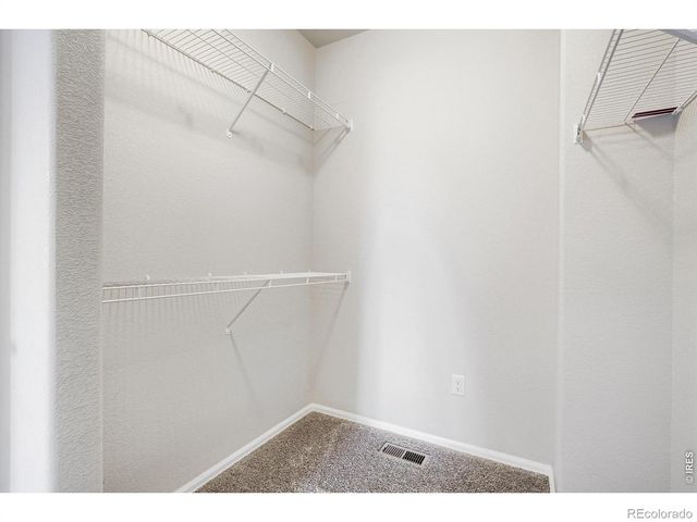 1577 First Light Drive, Windsor, CO 80550