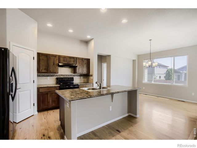 1577 First Light Drive, Windsor, CO 80550