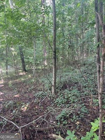 120 Hawks Court, Ball Ground, GA 30107