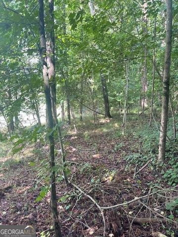 120 Hawks Court, Ball Ground, GA 30107
