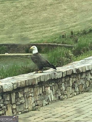 120 Hawks Court, Ball Ground, GA 30107