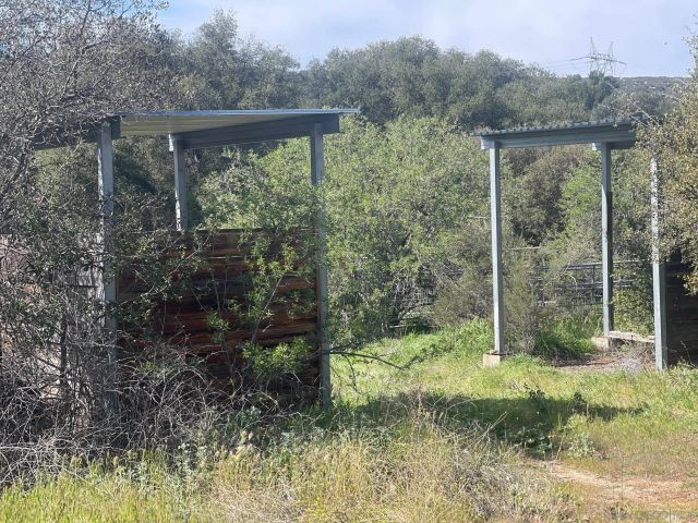 1951 Lake Morena, Campo, CA 91906