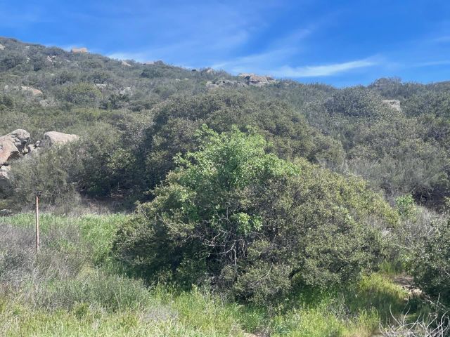 1951 Lake Morena, Campo, CA 91906