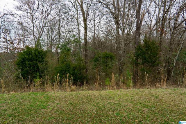 241 HIGHLAND VIEW DRIVE, Lincoln, AL 35096