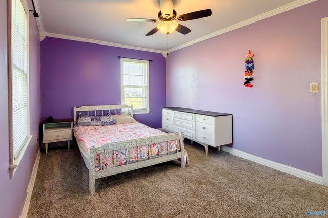 763 Highway 55 W, Falkville, AL 35622