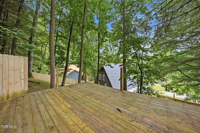 440 Lakeshore Road, Bluff City, TN 37618
