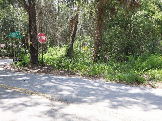 3569 SOUTHWOOD BOULEVARD, Kissimmee, FL 34746