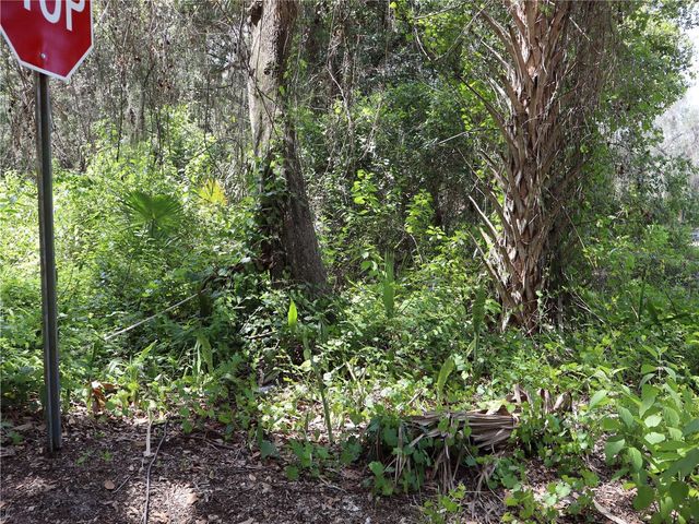 3569 SOUTHWOOD BOULEVARD, Kissimmee, FL 34746