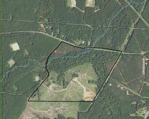 Tract 1 Strickland Fm 2625, Waskom, TX 75962