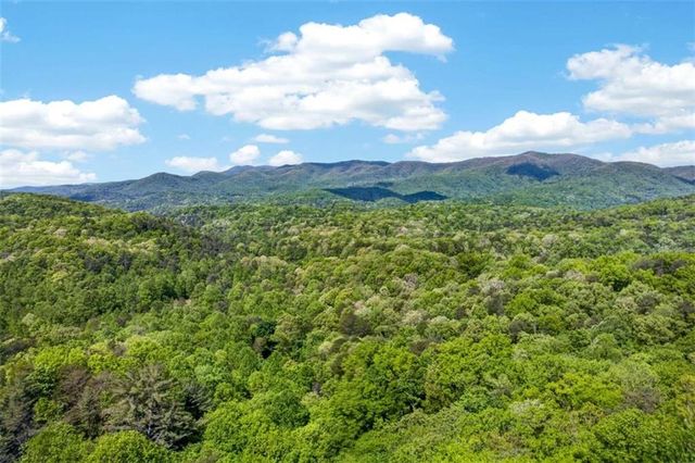 532 Cohutta Mountain Road, Blue Ridge, GA 30513