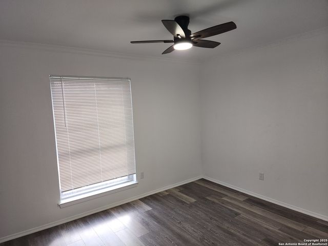 4163 Freestone, San Antonio, TX 78222