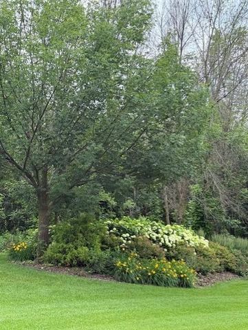 23171 Woodland Ridge Drive, Lakeville, MN 55044