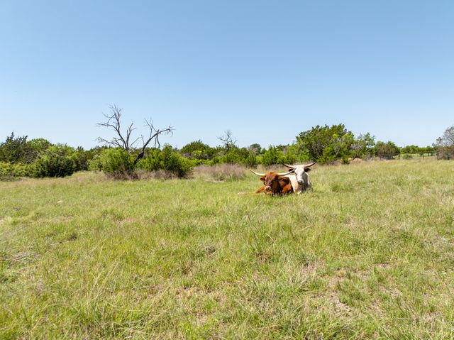 1960 W McCaleb Lane, Hamilton, TX 76531