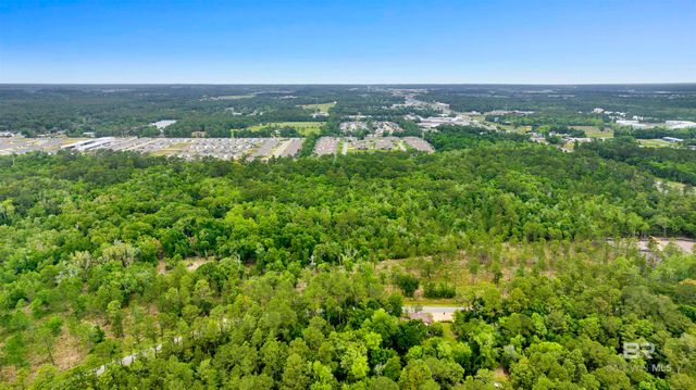 0000 STATE HIGHWAY 59, Gulf Shores, AL 36535