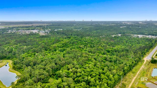 0000 STATE HIGHWAY 59, Gulf Shores, AL 36535