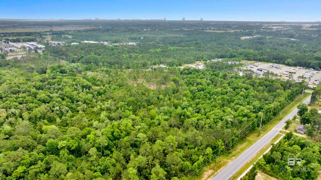 0000 STATE HIGHWAY 59, Gulf Shores, AL 36535
