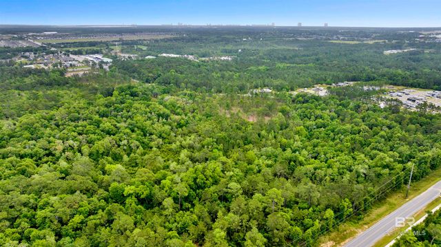 0000 STATE HIGHWAY 59, Gulf Shores, AL 36535