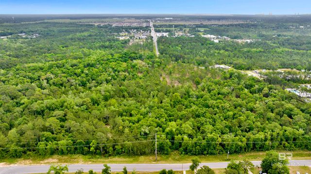 0000 STATE HIGHWAY 59, Gulf Shores, AL 36535