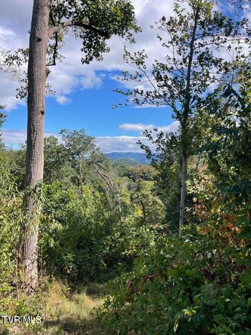 169 Mays Road, Elizabethton, TN 37643