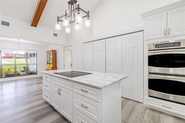 33816 SPRING DRIVE, Leesburg, FL 34788