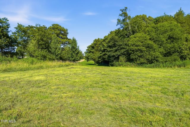 141 Kitzmiller Road, Gray, TN 37615