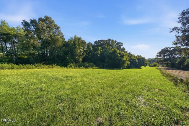 141 Kitzmiller Road, Gray, TN 37615