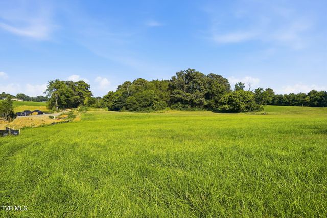 141 Kitzmiller Road, Gray, TN 37615