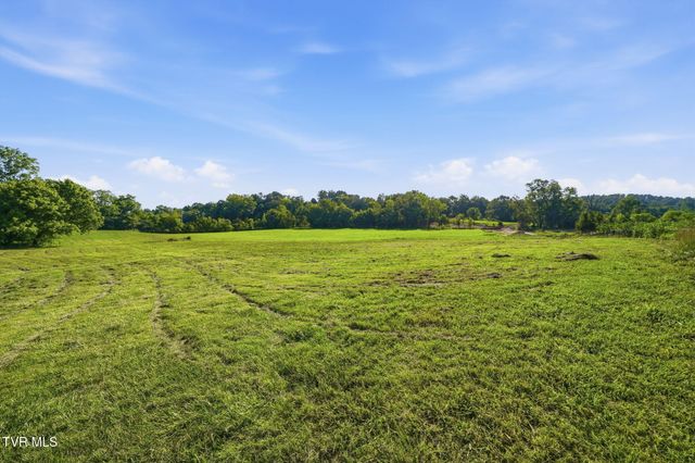 141 Kitzmiller Road, Gray, TN 37615