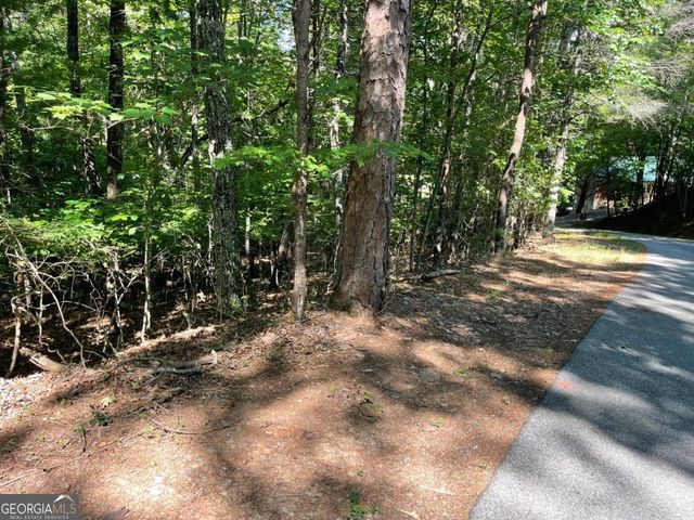 0 Rizzitello Lane 5, Blairsville, GA 30512