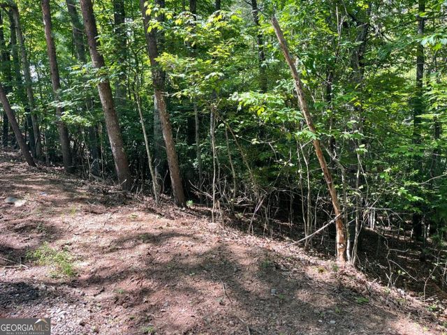 0 Rizzitello Lane 5, Blairsville, GA 30512