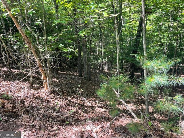 0 Rizzitello Lane 5, Blairsville, GA 30512