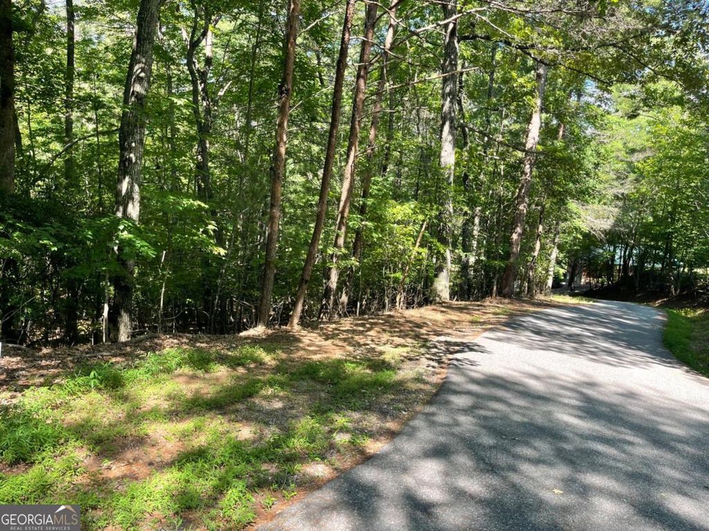 0 Rizzitello Lane 5, Blairsville, GA 30512