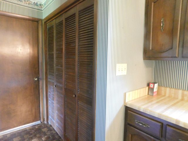 319 Harsh Ln, Castalian Springs, TN 37031