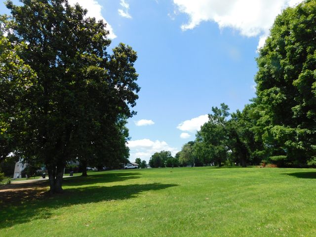 319 Harsh Ln, Castalian Springs, TN 37031