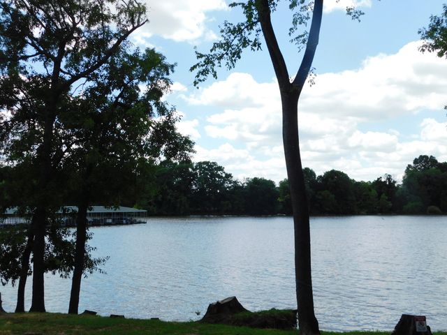 319 Harsh Ln, Castalian Springs, TN 37031